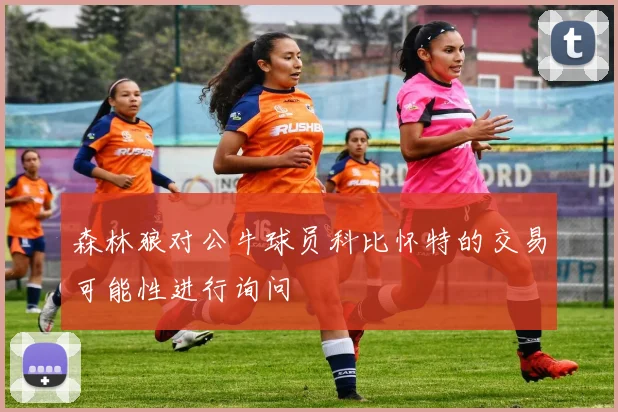 森林狼对公牛球员科比怀特的交易可能性进行询问