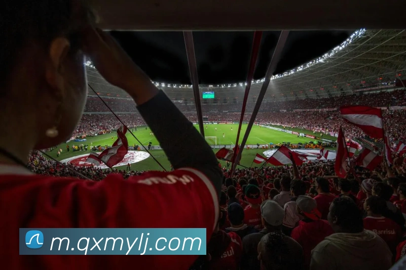 多媒体互动体验