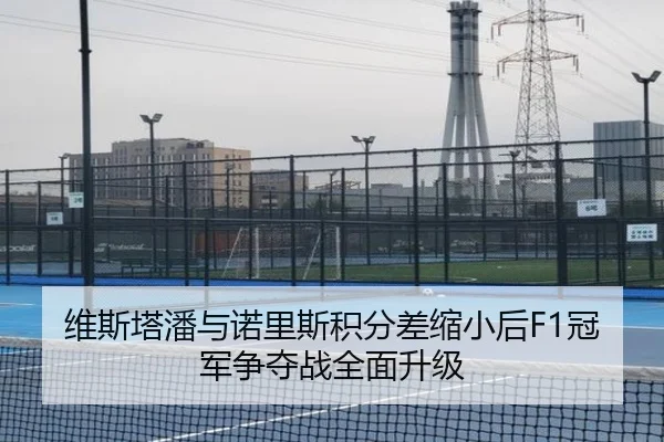 维斯塔潘与诺里斯积分差缩小后F1冠军争夺战全面升级 - leyucom