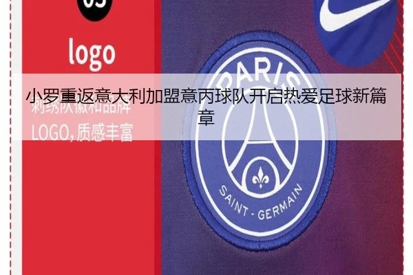 小罗重返意大利加盟意丙球队开启热爱足球新篇章 - leyucom